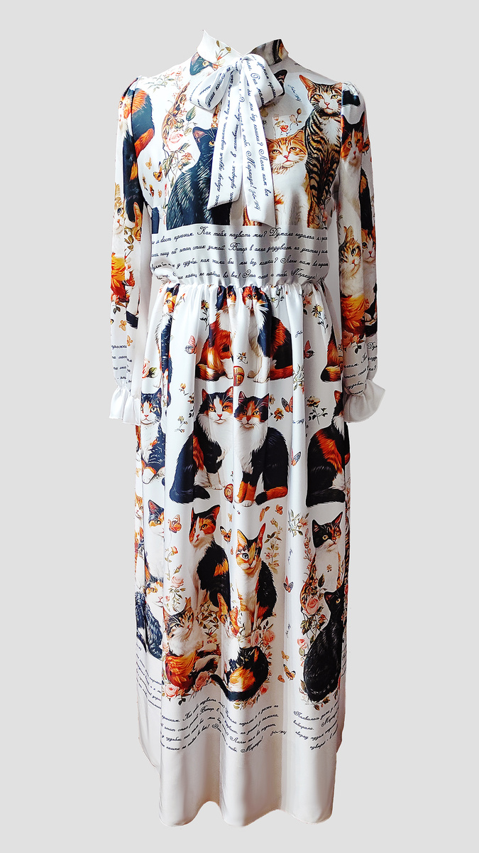 Вид спереди