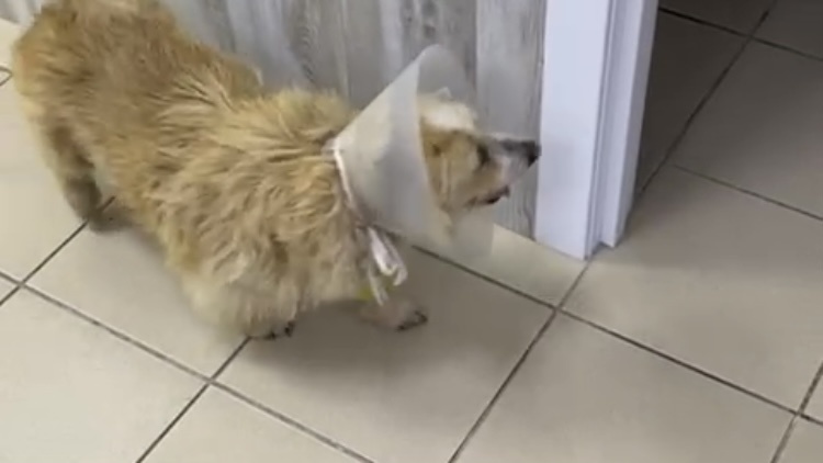 -1-2