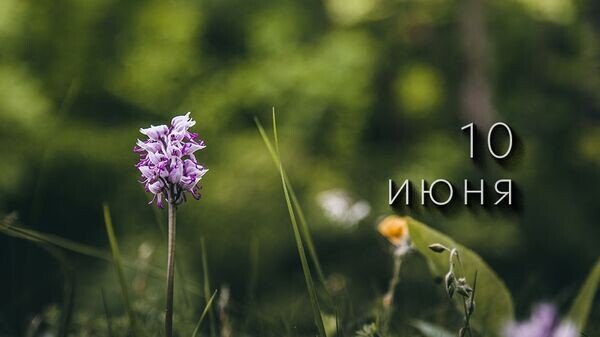    © Photo : Peter Fazekas: Pexels