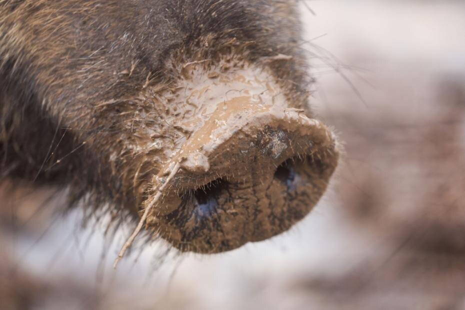    Наталья Шатохина/NEWS.ru