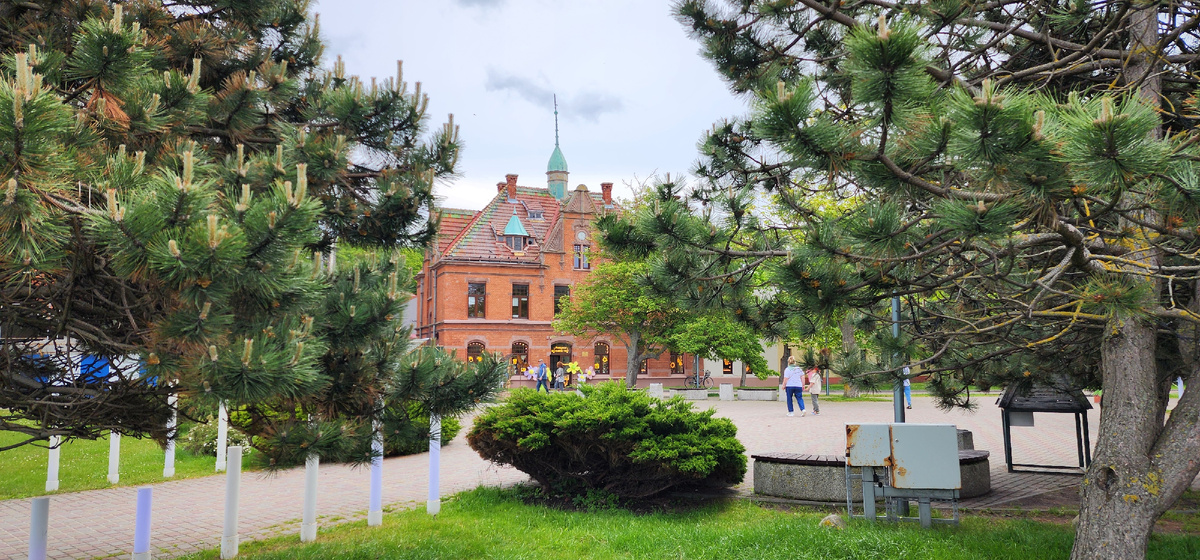 Вид на прогулочные улицы Зеленоградска