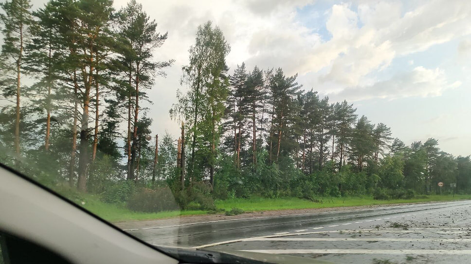 Сломанные деревья вдоль трассы Ярославль - Кострома.📷Фото: соцсети