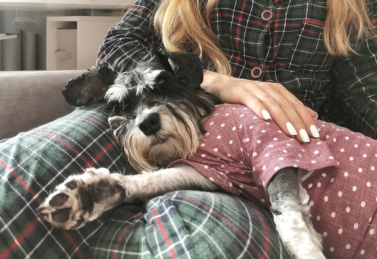 Кажется, Джессенька меня простила