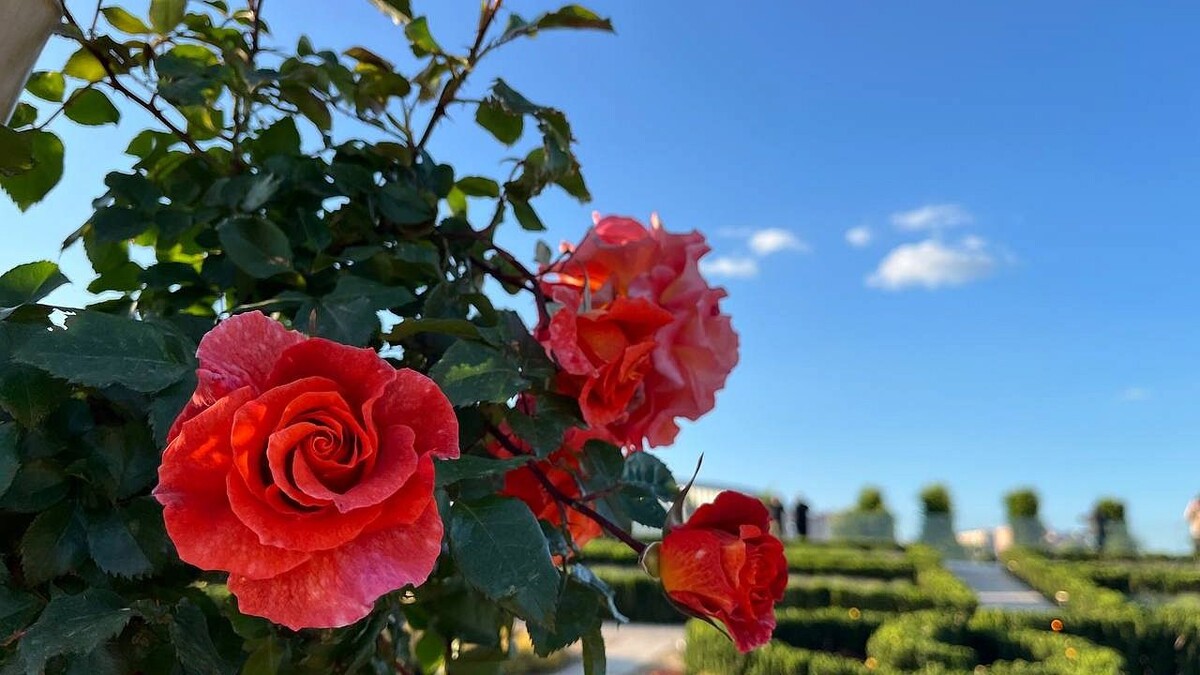    Фото: телеканал «Краснодар»