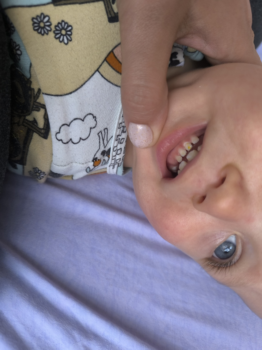 А ещё сегодня я нашла два новых зуба у человека (молочные моляры) - итого 10. В 11 месяцев!