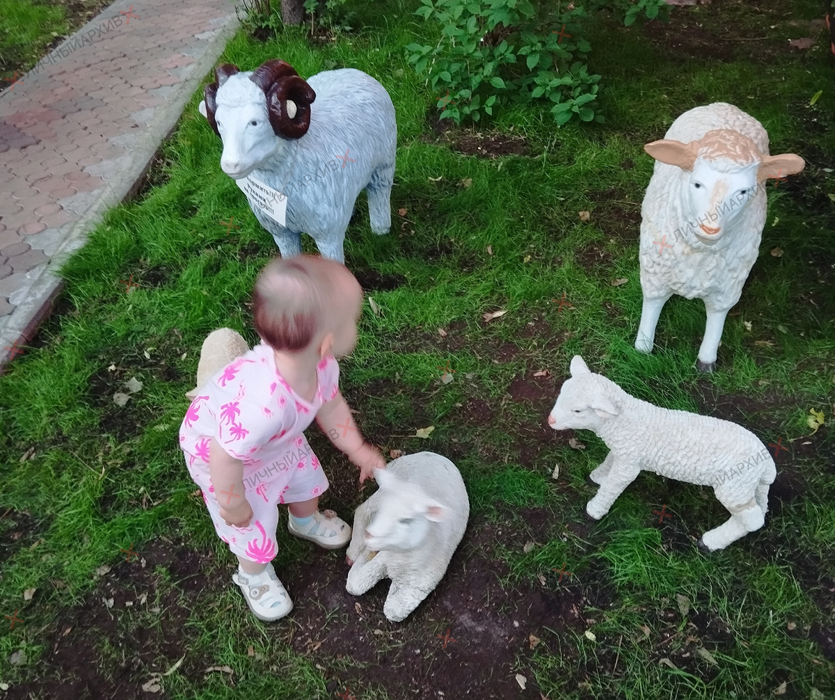 В кафе «Манави».