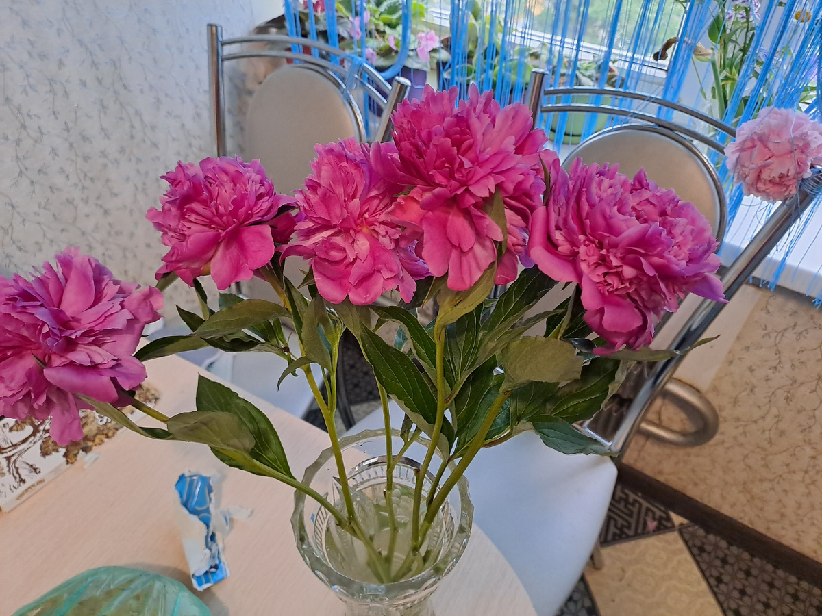 От мужа в день моей защиты