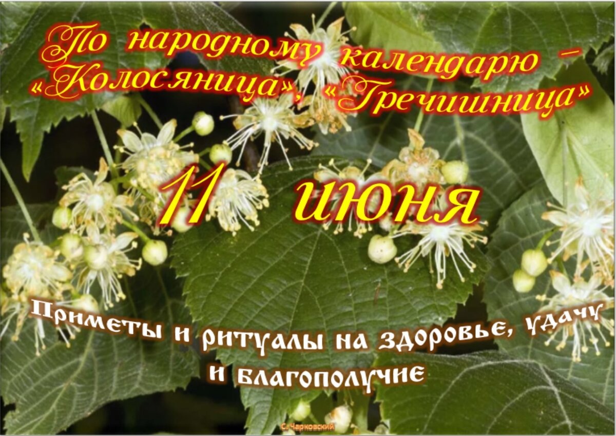 Встречаем новый день