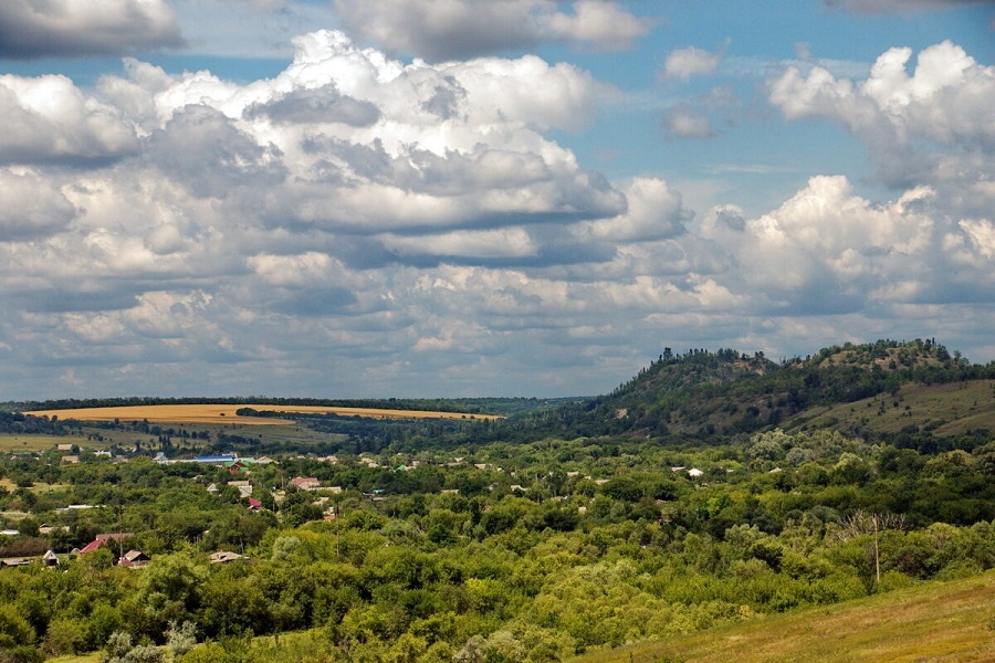    природа Алексеева Наталья