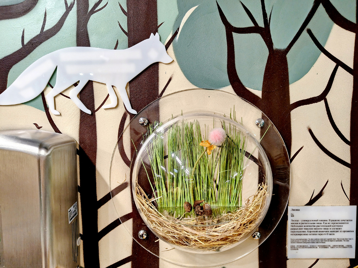 За стеклом именно то, что вы подумали —>