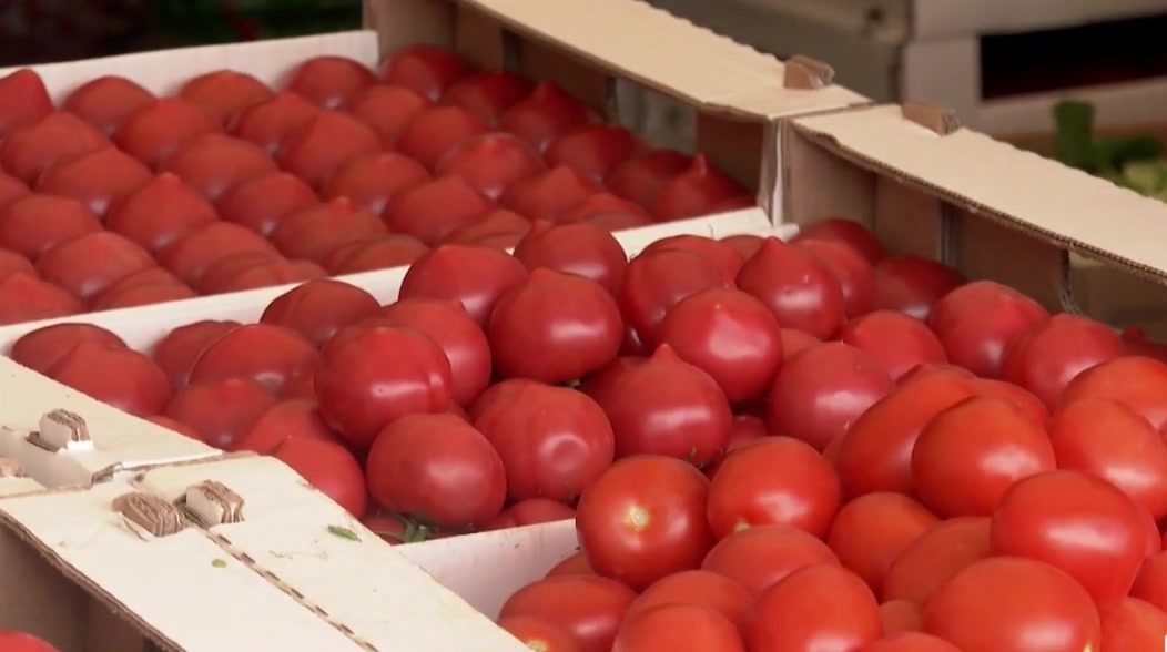    Крым 24 Elena Maltseva