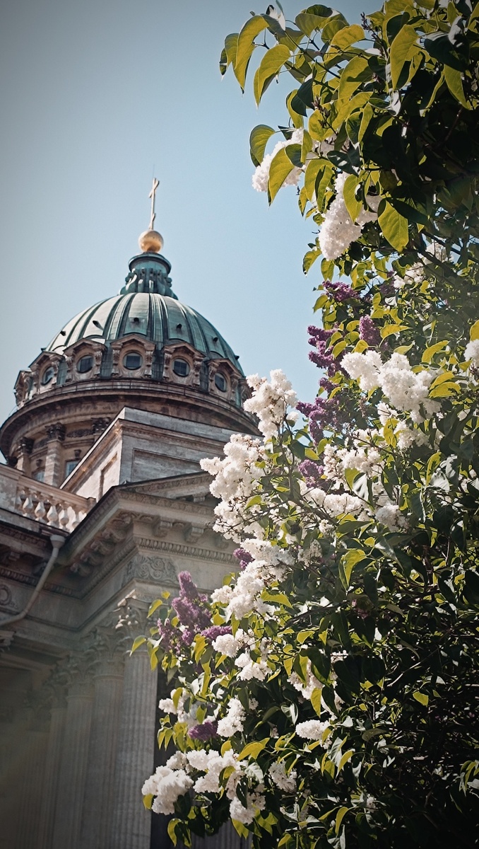 Вид со стороны Казнского сквера, июнь 2025 г.