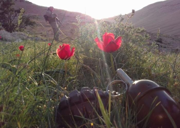 В зоне проведения СВО, источник Телеграм-канал Тристатридцатьтри