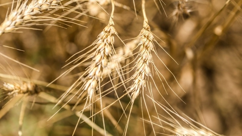 Фото: @pvproductions / freepik.com