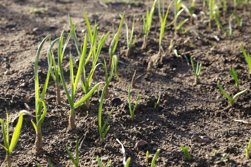    Фото: Maksim Konstantinov/Globallookpress