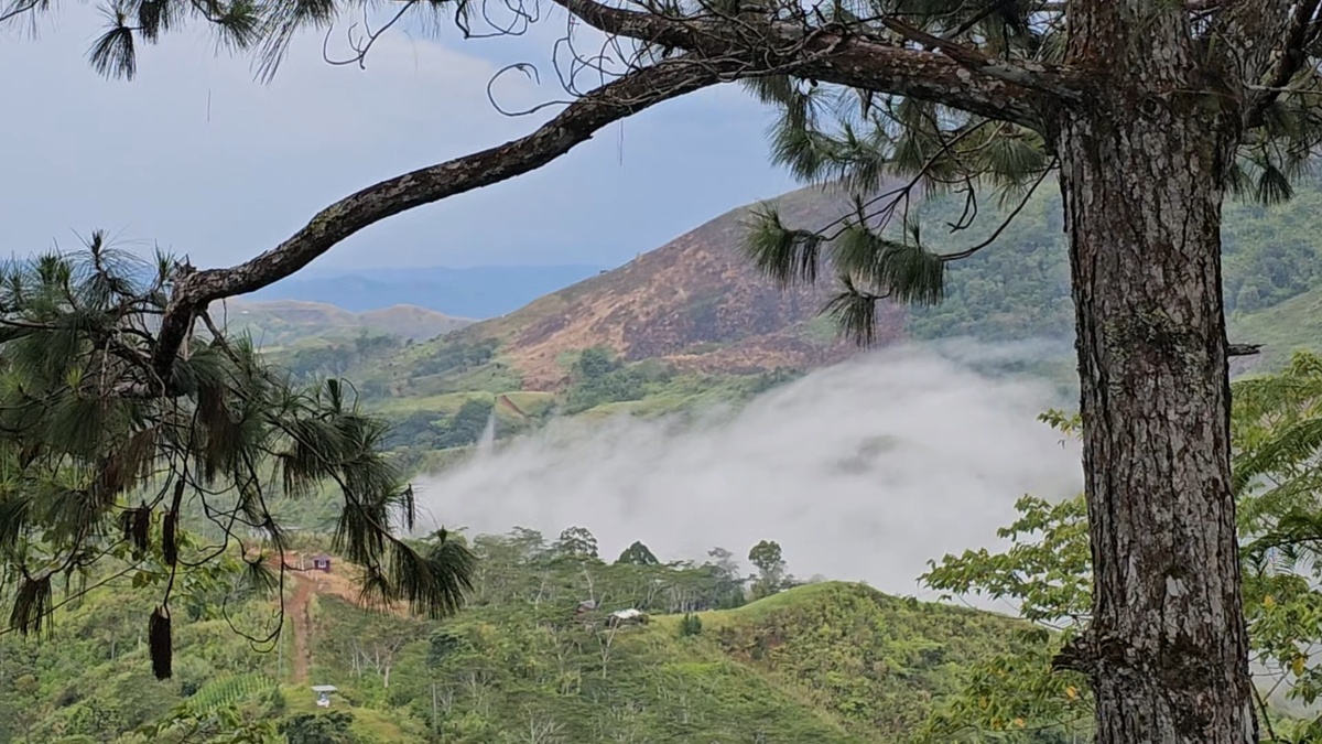 Туман в долине