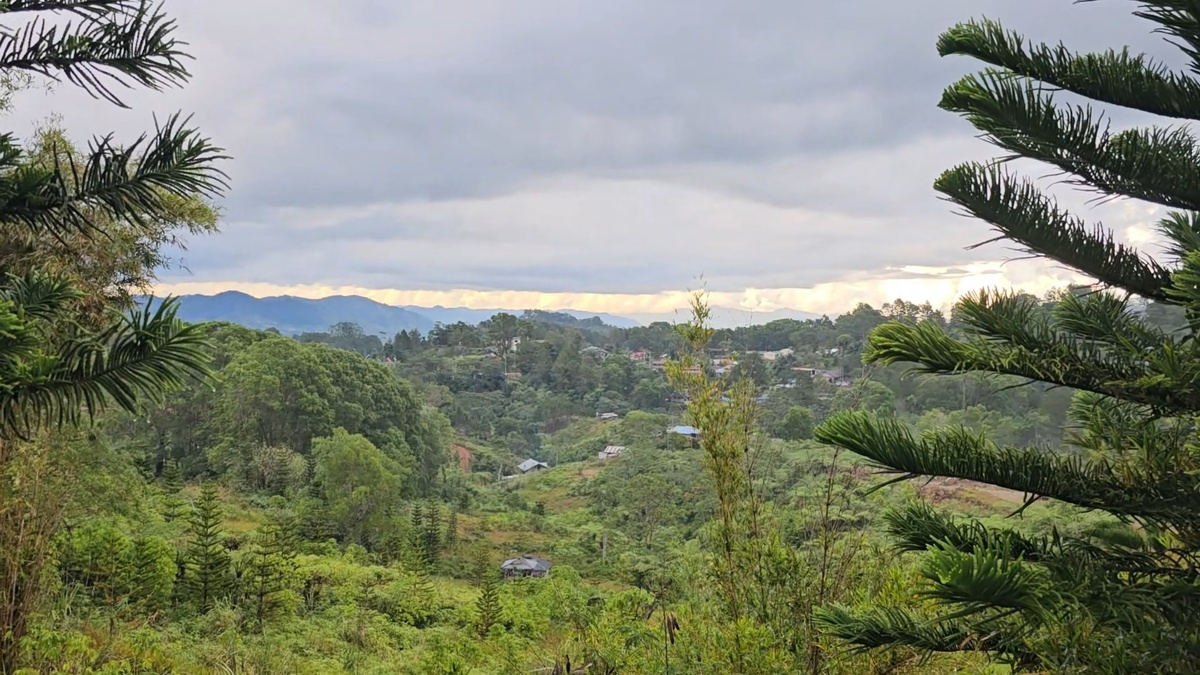 Вид на долину.