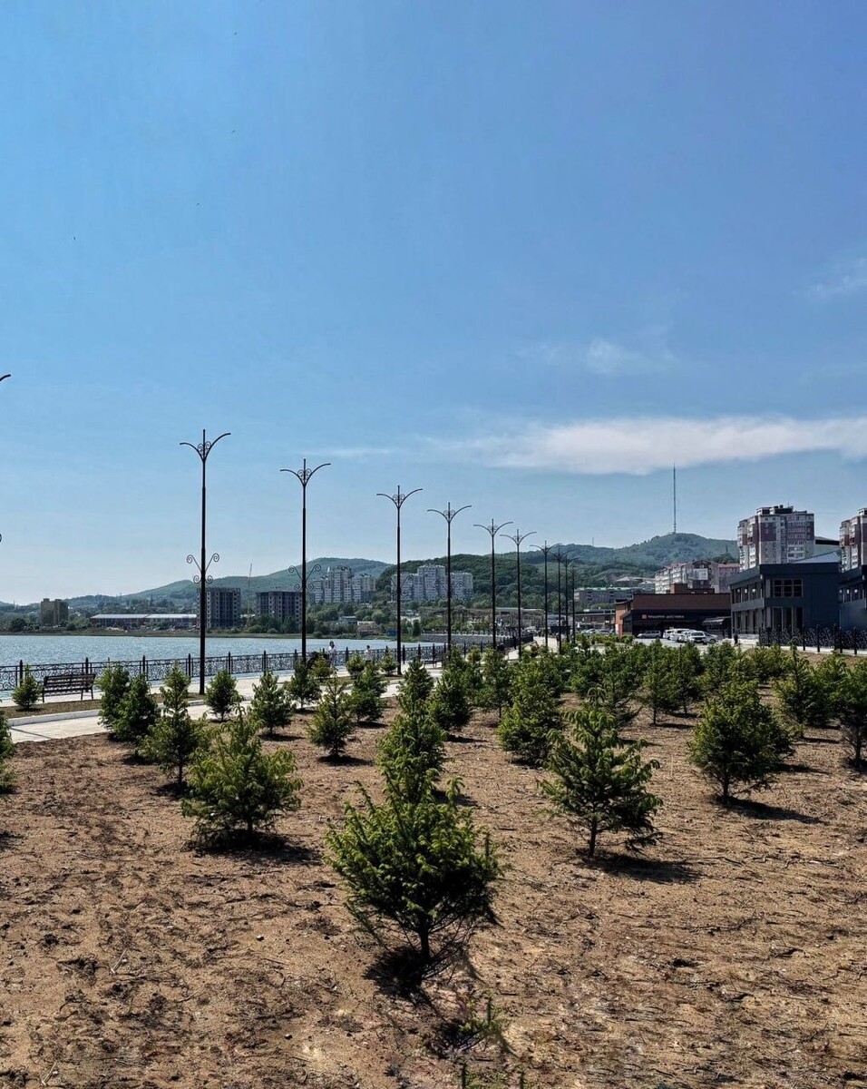     Источник: @nhkadm