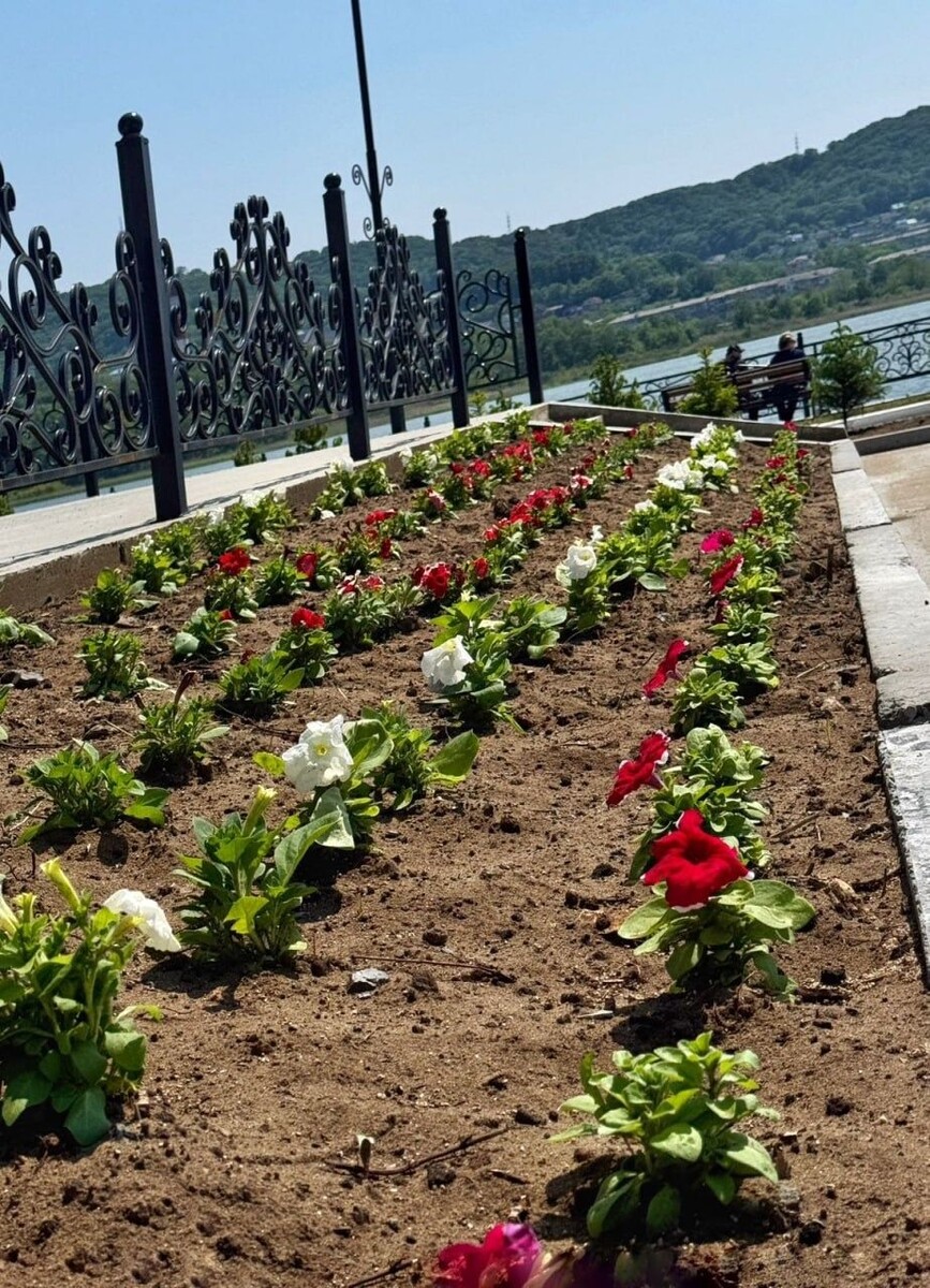     Источник: @nhkadm