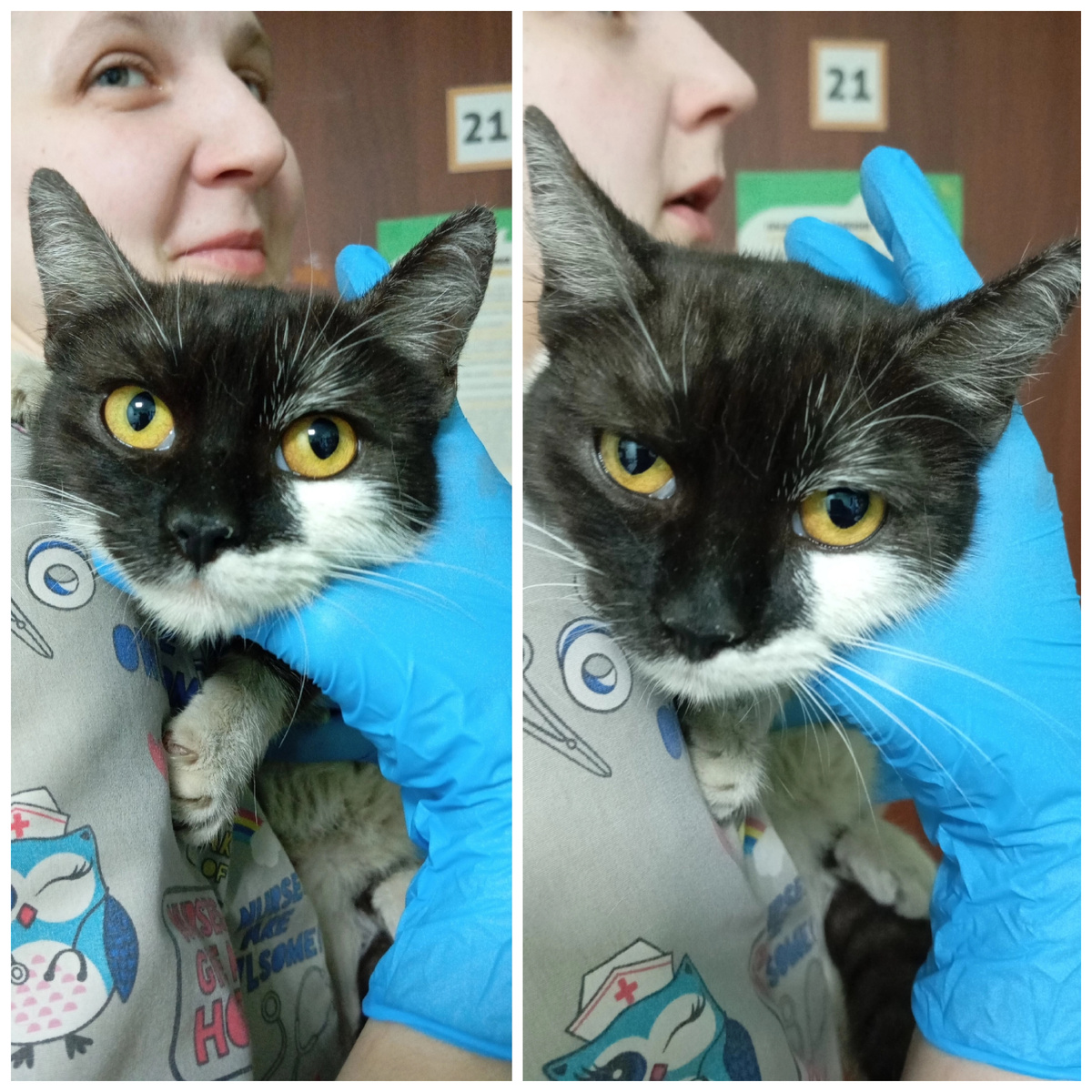 Русина найдена беременной на улице.