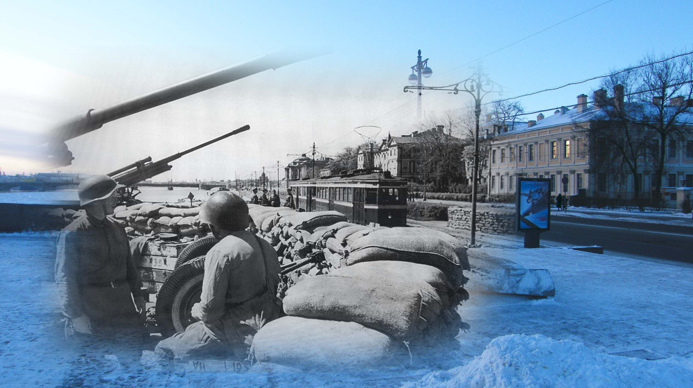    Забытая правда о рыбе в блокадном Ленинграде почему ее не ели