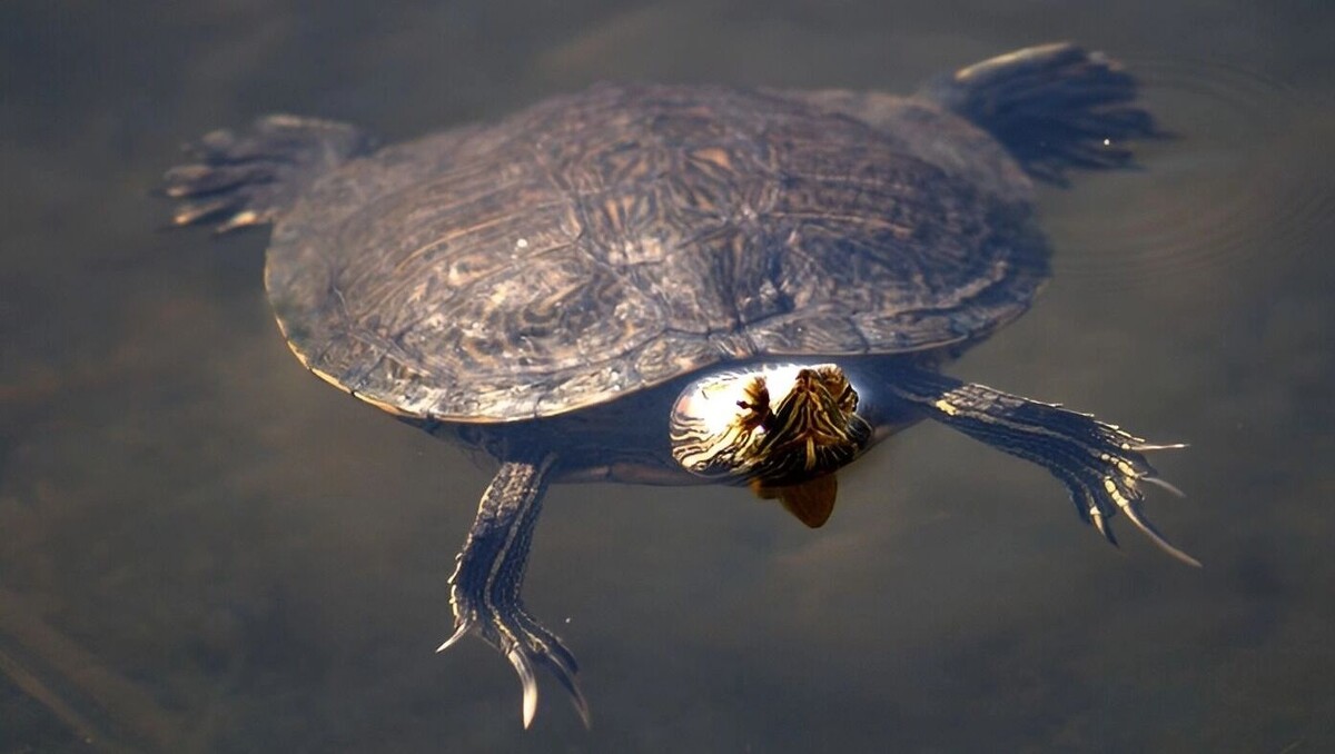     Источник: freepik.com/