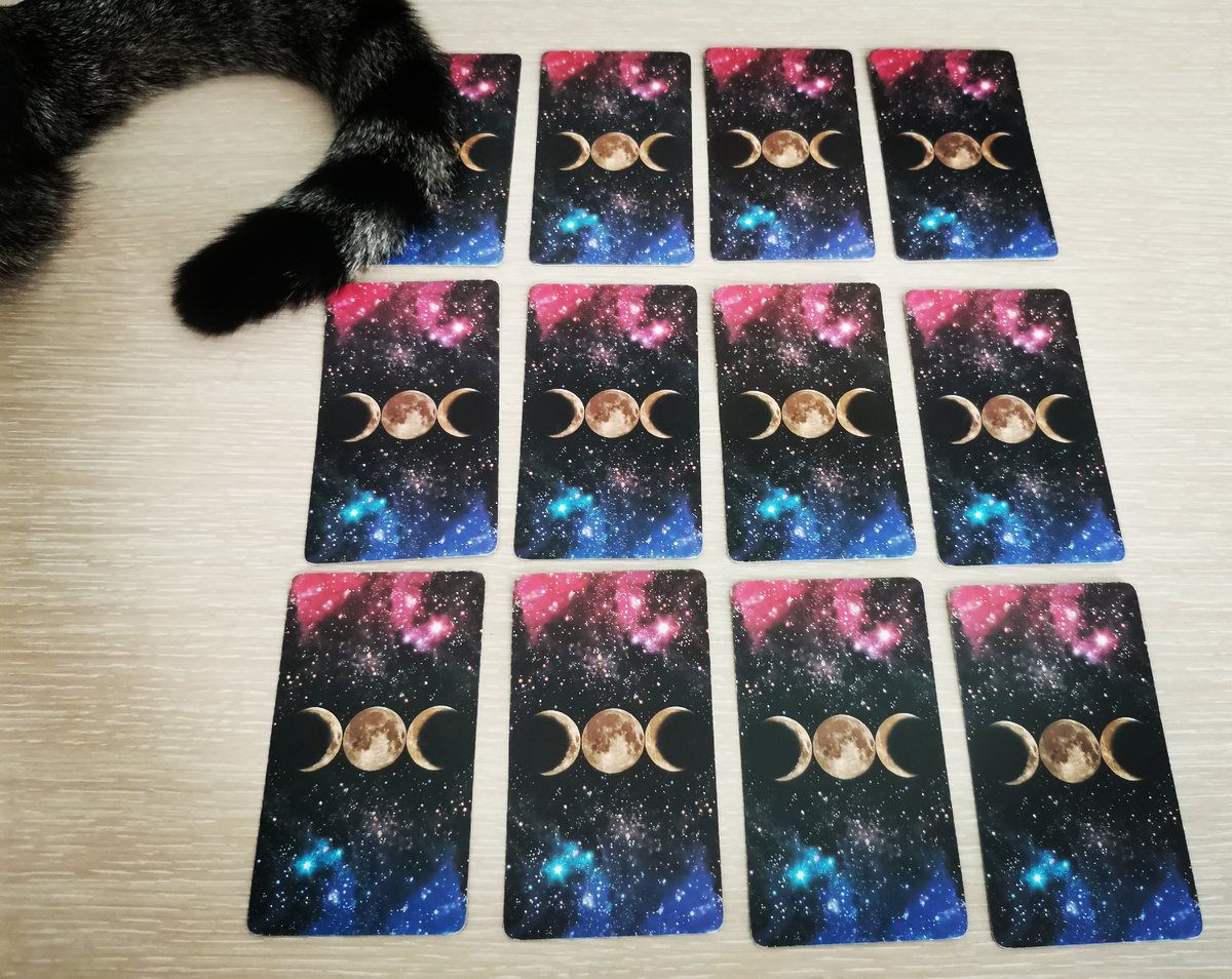 Хвост-помощник 