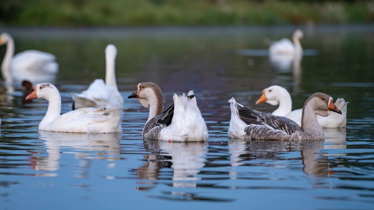    Фото: Сергей Зубков / «Ямал-Медиа»