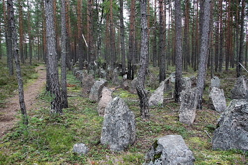 зубы дракона  фото из инета