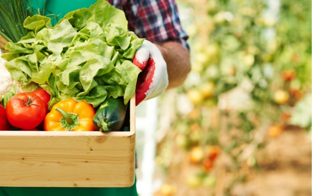    Фото: freepik.com Редактор