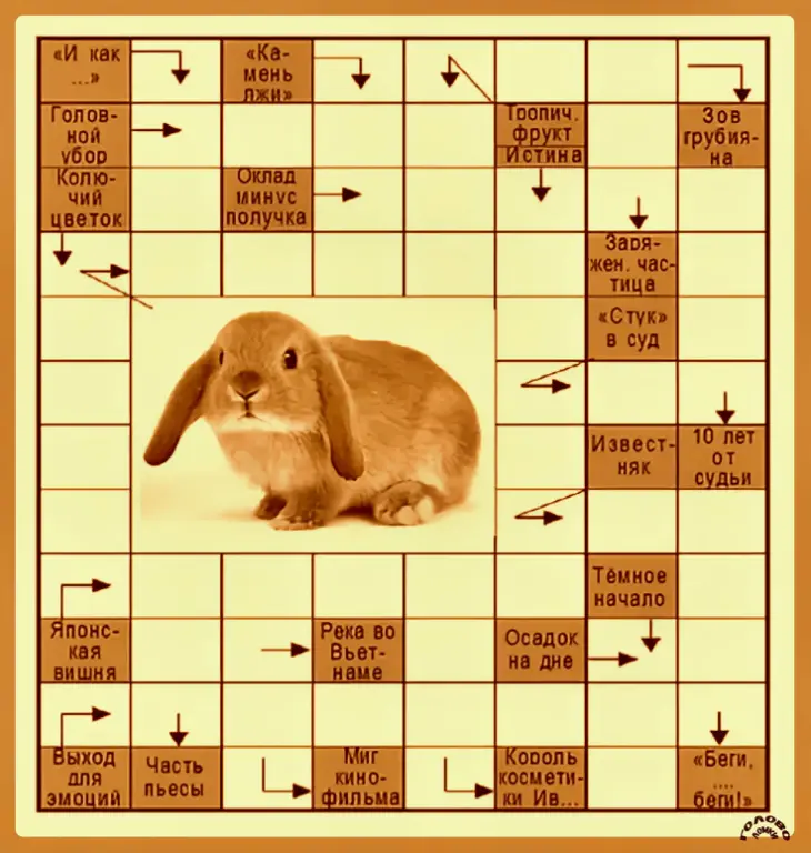 🧠 Мини-сканворд: проверьте свою эрудицию!