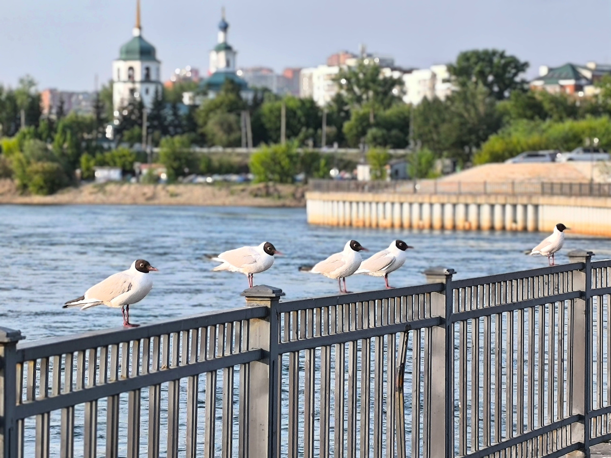 (© Анна, «Маяк энерджайзера»)