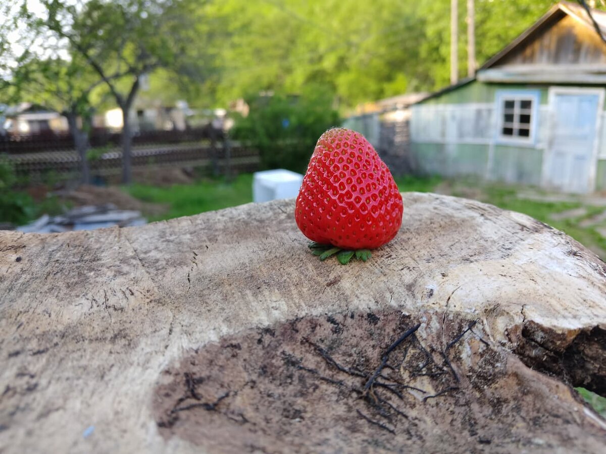 ЭТО ОНА! ФОТО АВТОРА 