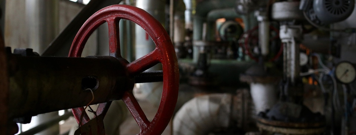    Автор фото: Антон Ваганов / "ДП"