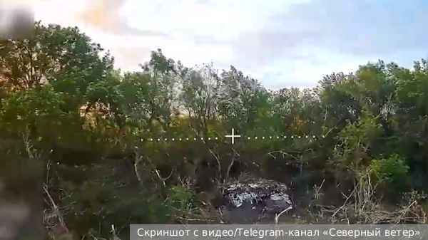     Фото: Скриншот с видео/Telegram-канал «Северный ветер»   
 Текст: Ирма Каплан