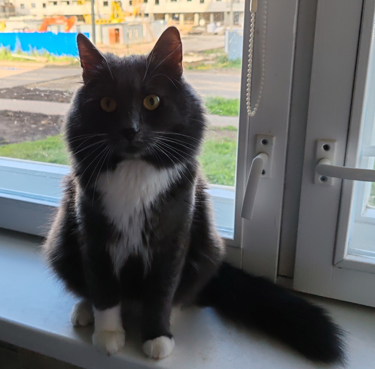 Фото автора канала. 