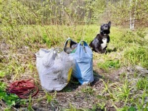    Центр Чистой Природы 12–15