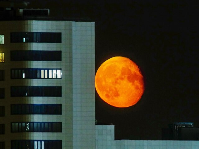    Фото: Москва 24/Лидия Широнина