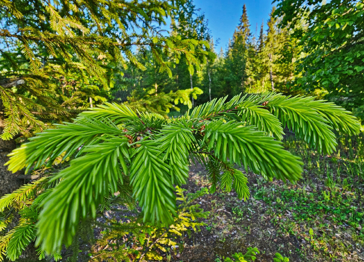 звонок был ранний, она только собиралась вставать