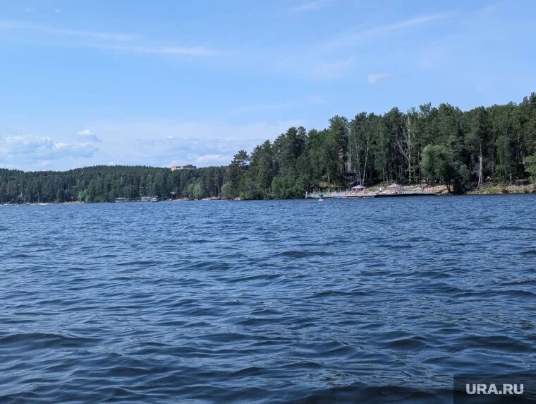 Еловое прекрасно в любой сезон, но летом особенно. Фото: Мария Чернышова © URA.RU