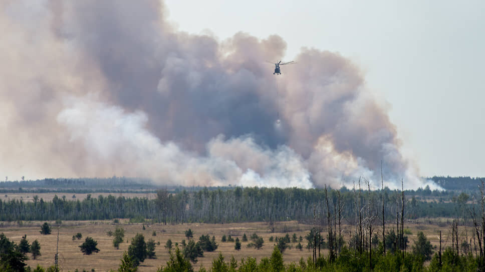 Фото: Олег Харсеев / Коммерсантъ