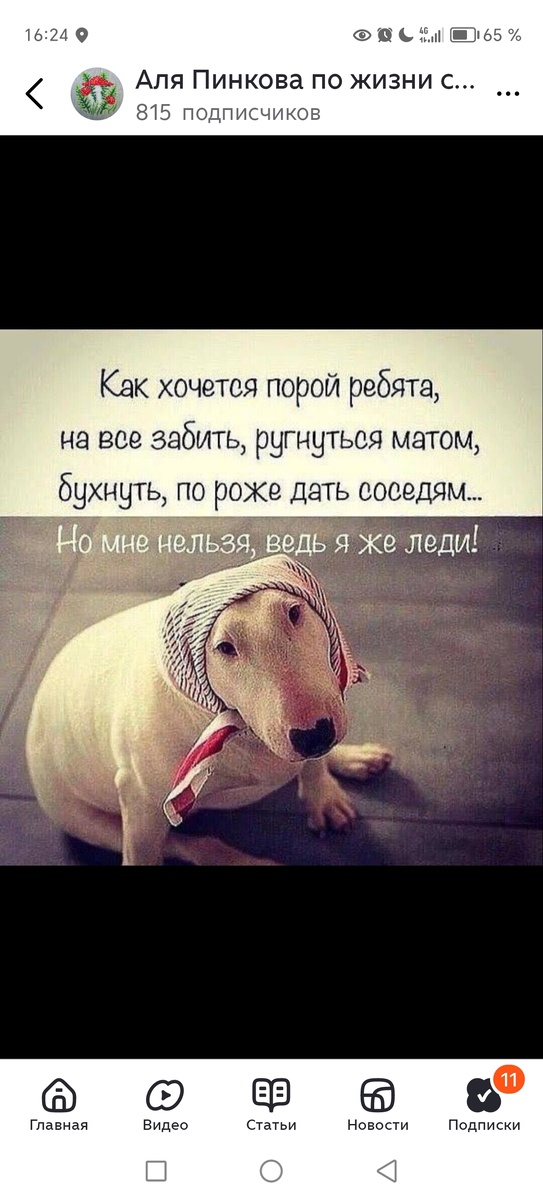 Ну, милейшая ж поросюшечка - нюшечка сидит, ведь правда? 