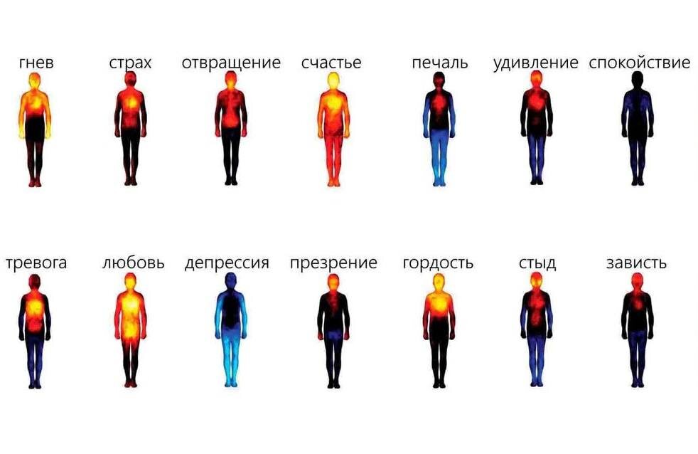 Фото взято из интернета