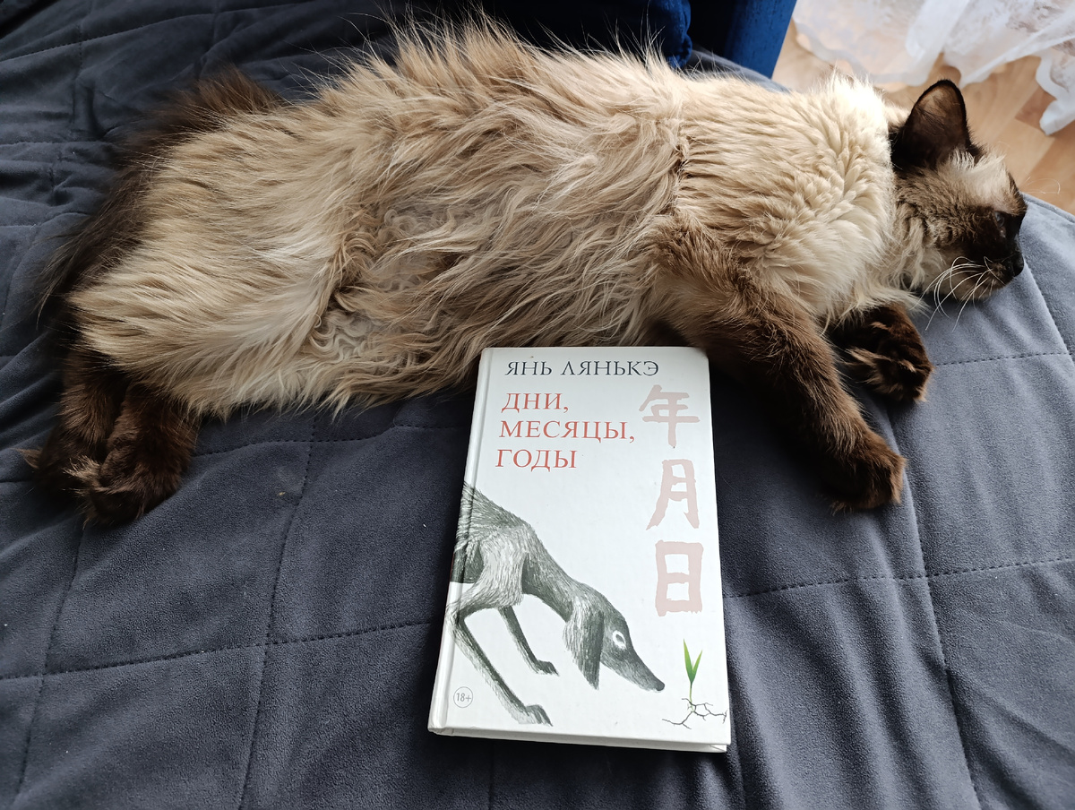 Книгу Яня Лянькэ, выпушенную издательством "Синдбад", сегодня представляет Джессика. 