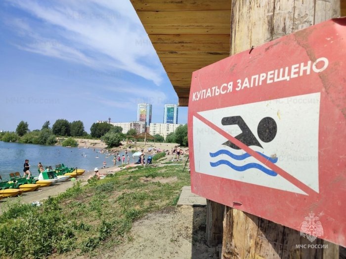 Фото ГУ МЧС по Новосибирской области.