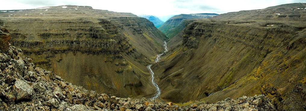 Сибирские траппы - лава, разлившаяся на полконтинента. Лава - не только источник иридия, она выделяет и огромное количество токсичных оксидов, прежде всего, оксид серы и оксид углерода.