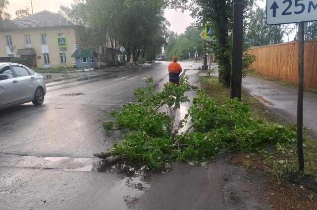    Фото: Администрация Сыктывкара