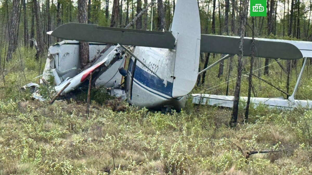    Фото: vstproc / t.me