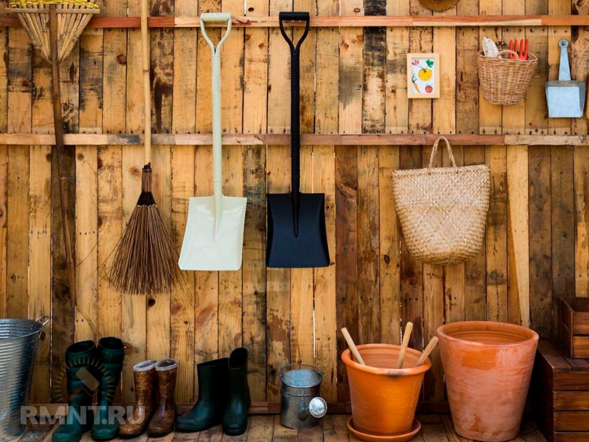 Фото shedblog.com.au