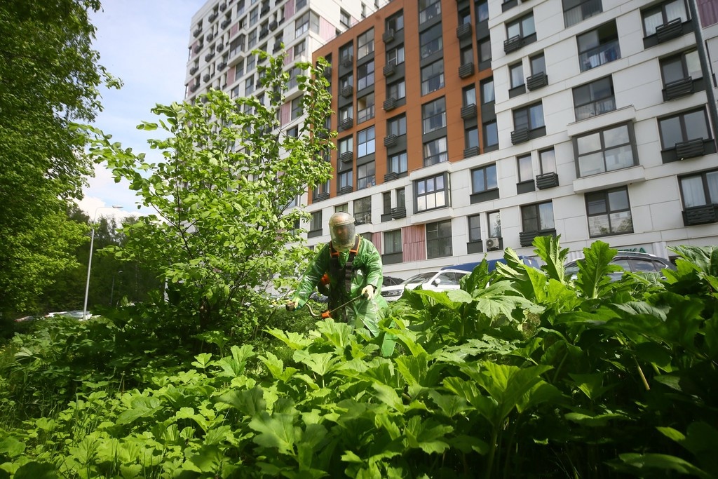    Фото © АГН «Москва» / Сергей Ведяшкин